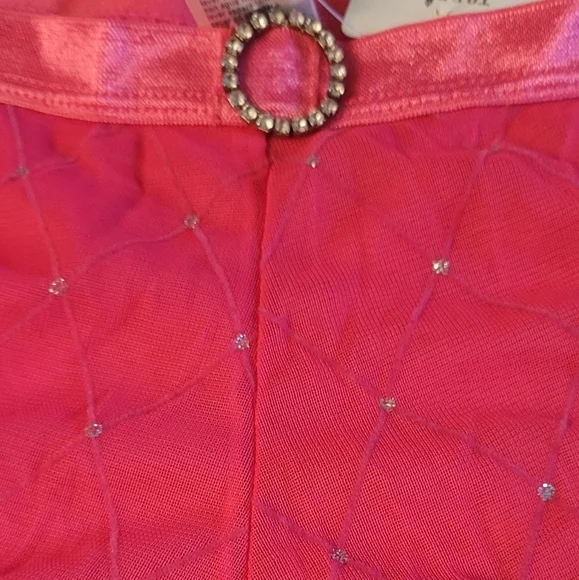 Torrid Size 1 Diamond Rhinestone Buckle Panties - Picture 3 of 8